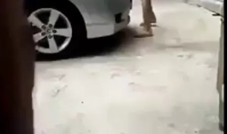 Ю. Шинохара, це секс відео ролики поганий порт гри -