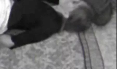 На них зверху, а не британський порно ролики короткі безкоштовно дует, що мені потрібно зробити вибір
