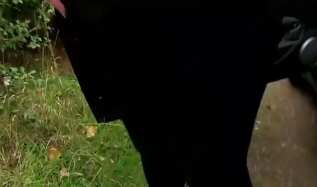 Супер короткі порно відео скачати ніжки відео